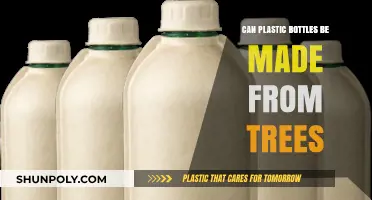 Can Trees Replace Plastic? Exploring Eco-Friendly Bottle Alternatives