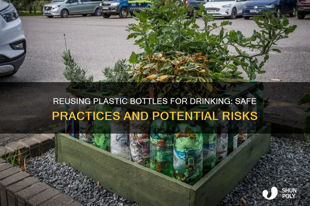 can plastic bottles be reused for drinking
