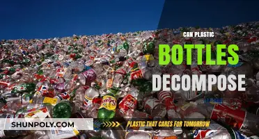 Can Plastic Bottles Decompose? Unraveling the Environmental Impact and Timeline
