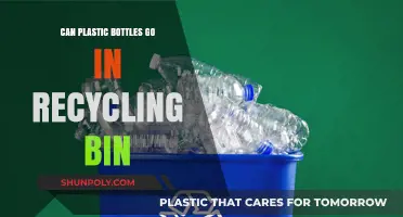 Can Plastic Bottles Go in Recycling Bin? A Clear Guide