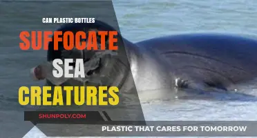 Plastic Bottles in Oceans: A Deadly Threat to Marine Life?