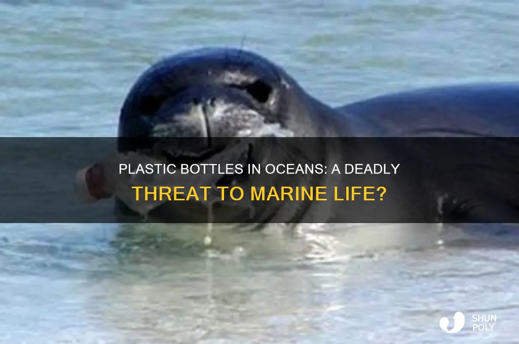 can plastic bottles suffocate sea creatures