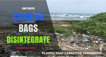 Plastic Carrier Bags: Do They Disintegrate?