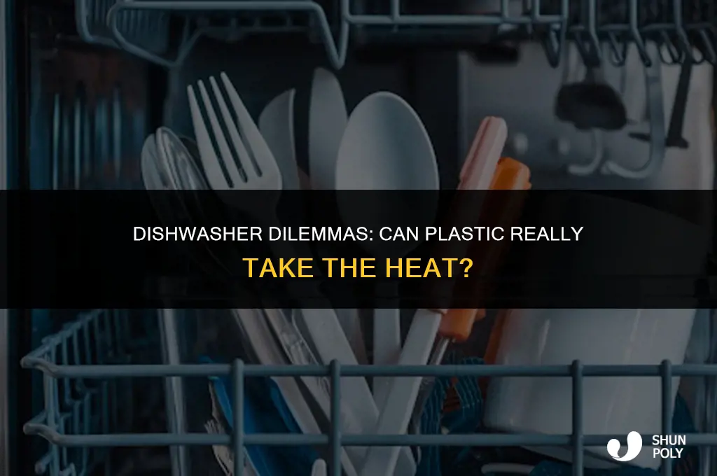 can plastic go in dishwasher