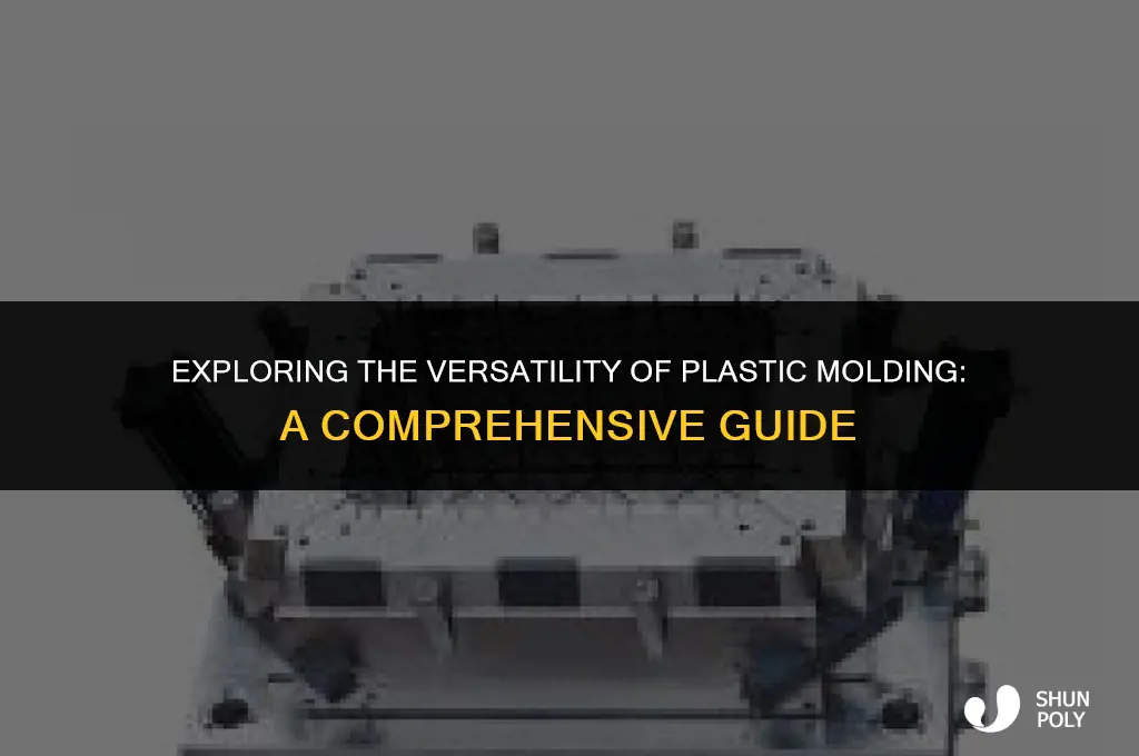 can plastic mold