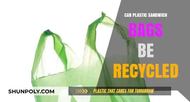 Recycling Plastic Sandwich Bags: What You Need to Know