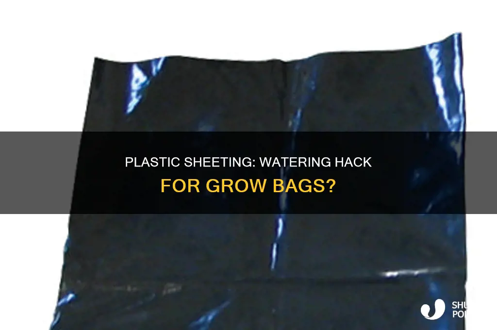 can plastic sheeting keep grow bags watered