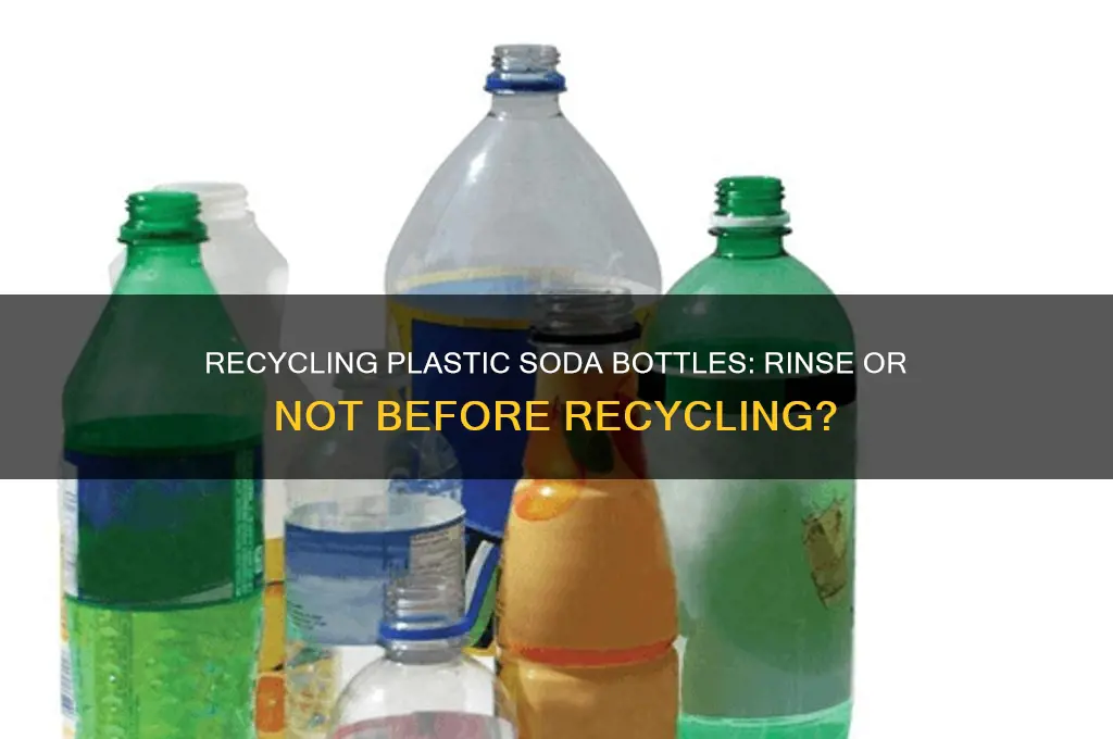 can plastic soda bottles be recycled without being rinsed
