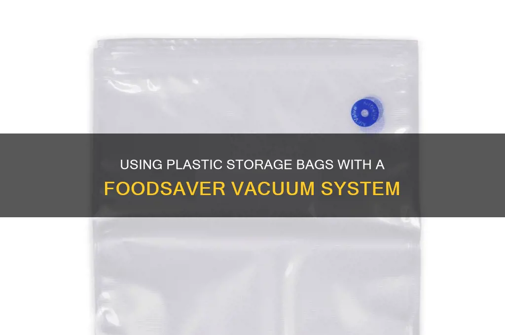 can plastic storage bags work with a foodsaver vacuum system
