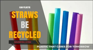 Unraveling the Myth: The Truth About Recycling Plastic Straws