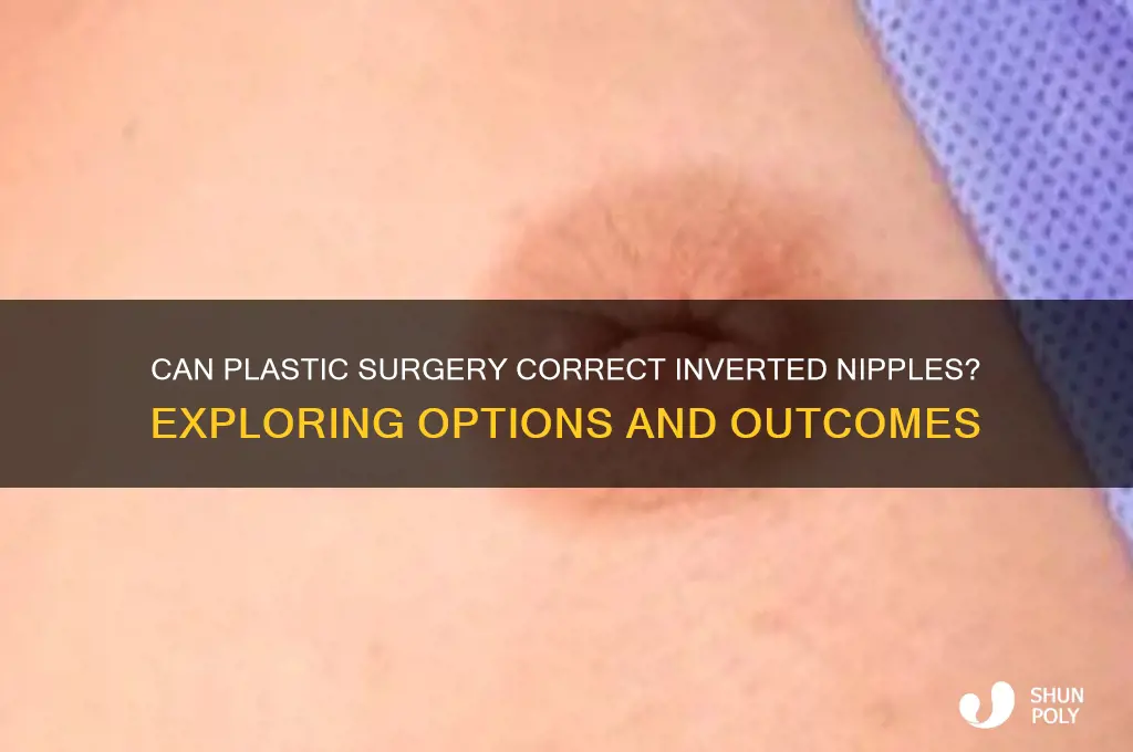 can plastic surgery fix inverted nipples