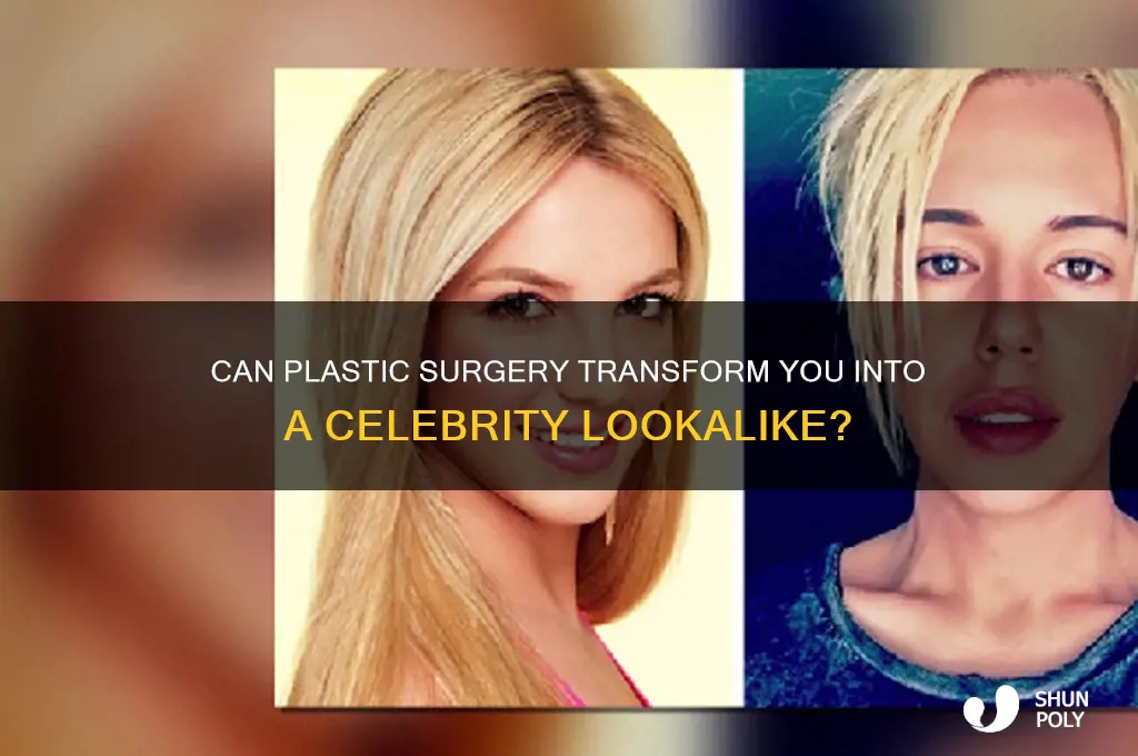 can plastic surgery make me look like a celebrity