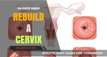 Can Plastic Surgery Rebuild a Cervix? Exploring Medical Possibilities