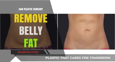 Can Plastic Surgery Effectively Eliminate Belly Fat? Expert Insights