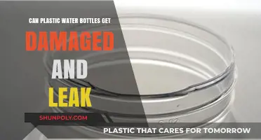 Can Plastic Water Bottles Leak? Understanding Damage and Risks