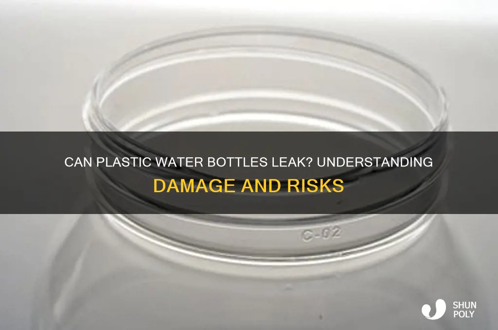 can plastic water bottles get damaged and leak