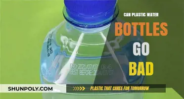 Do Plastic Water Bottles Expire? Shelf Life and Safety Explained