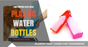 Puppies and Plastic Bottles: Safe Play or Hidden Danger?