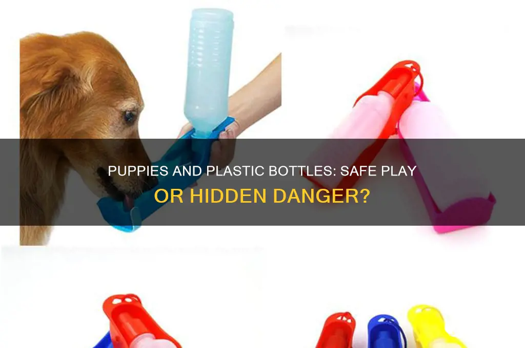 can puppies play with plastic water bottles