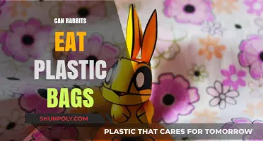 Are Plastic Bags Safe for Rabbits to Eat?