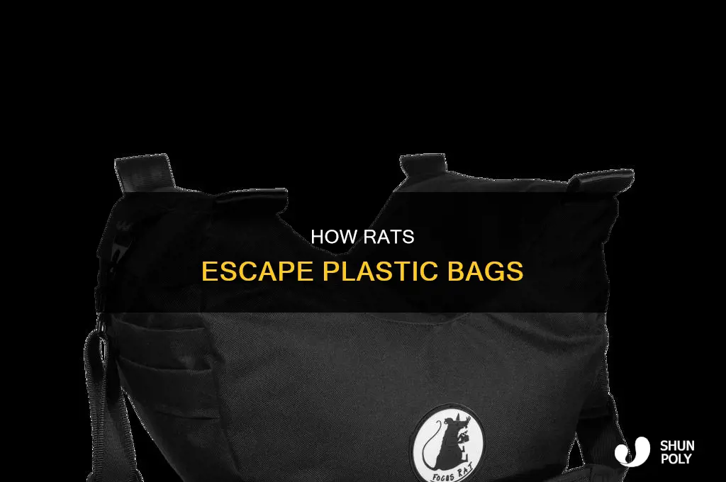 can rates escape plastic bag