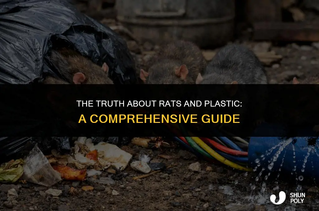 can rats eat plastic