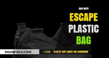 Rats: Escaping Masters or Plastic Prisoners?