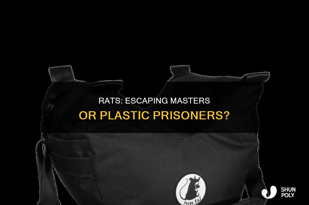 can rats escape plastic bag