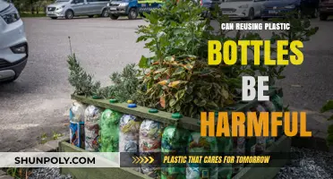 Reusing Plastic Bottles: Hidden Health Risks and Environmental Concerns