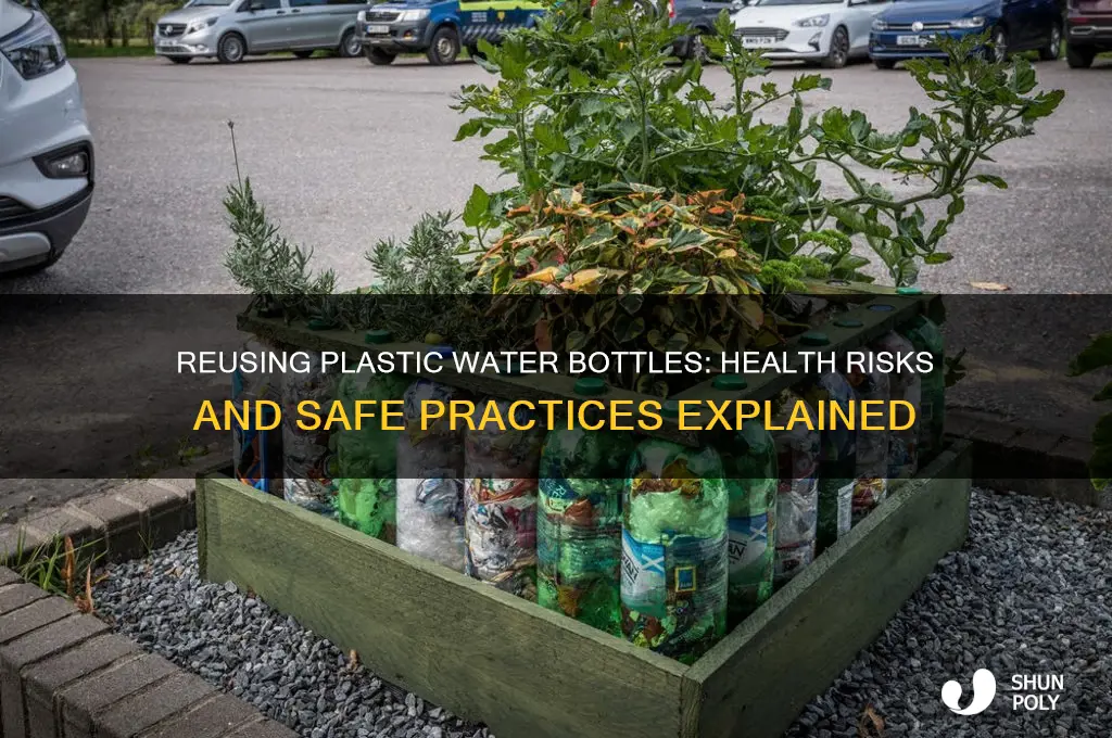 can reusing plastic water bottles make you sick
