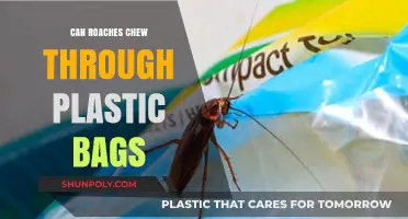 Cockroaches and Plastic: An Unlikely Alliance?