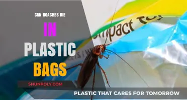 How Plastic Bags Can Kill Cockroaches