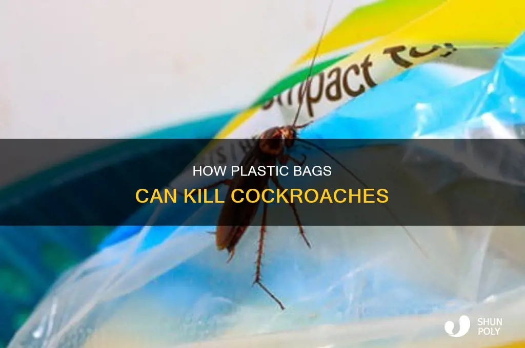 can roaches die in plastic bags
