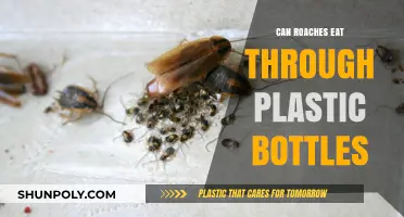 Can Roaches Chew Through Plastic Bottles? Surprising Facts Revealed