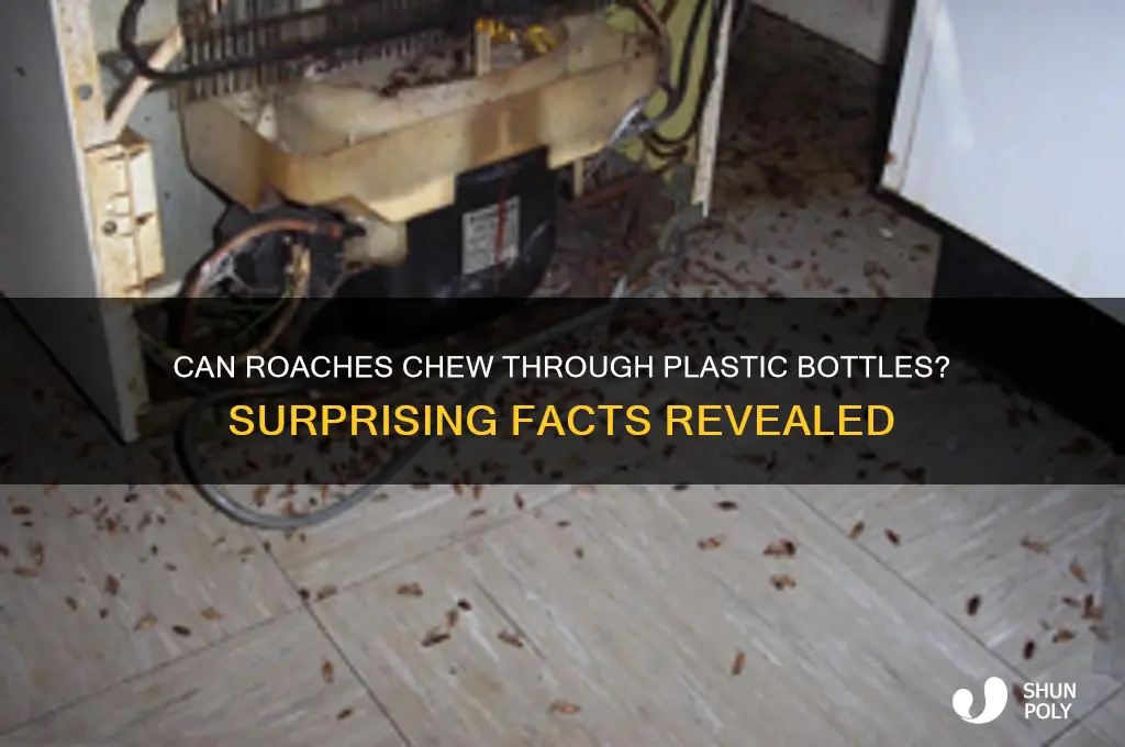 can roaches eat through plastic bottles
