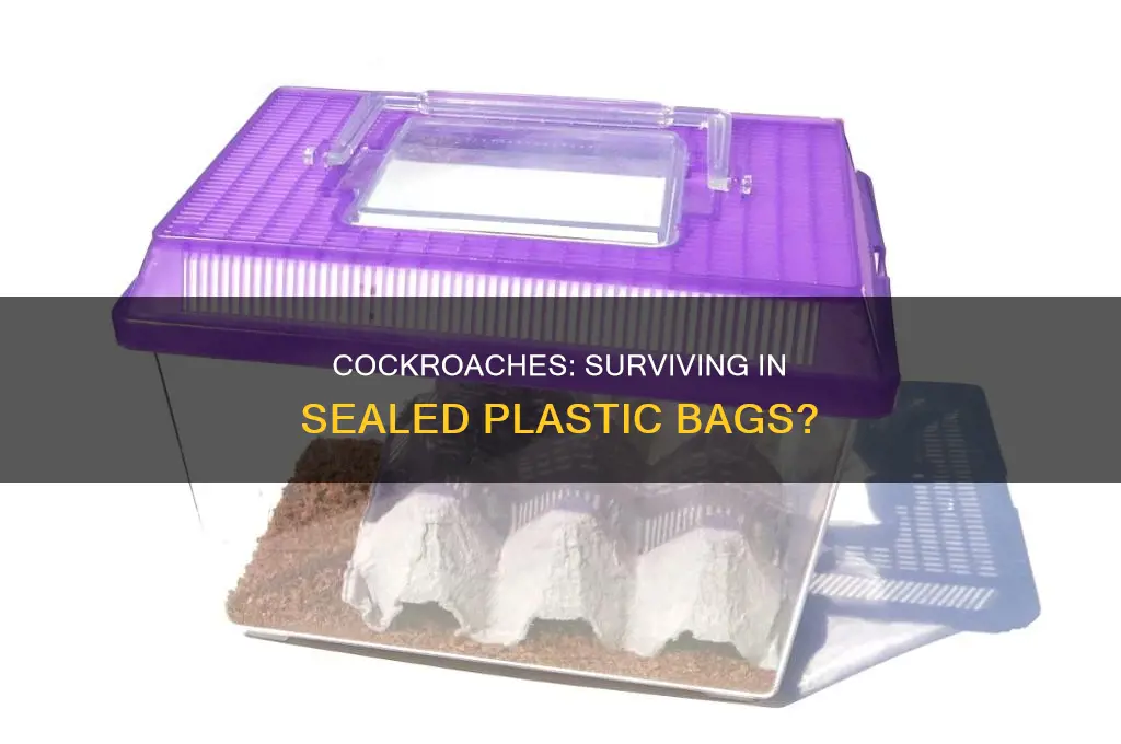 can roaches live in airtight plastic bag