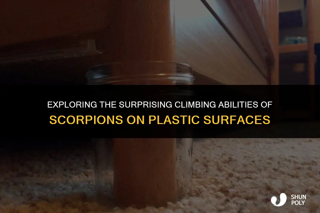 can scorpions climb plastic