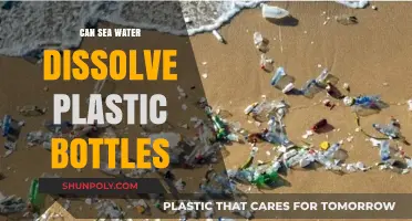 Can Seawater Break Down Plastic Bottles? Exploring Ocean Dissolution
