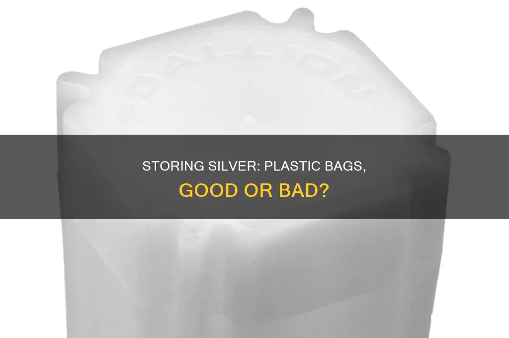 can silver be stored in plastic bags