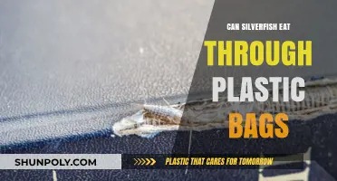 Silverfish and Plastic: What's the Deal?