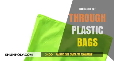 How Slugs Penetrate Plastic Bags