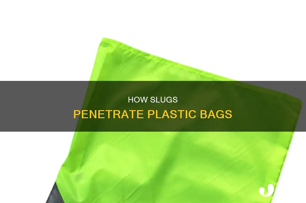 can slugs eat through plastic bags