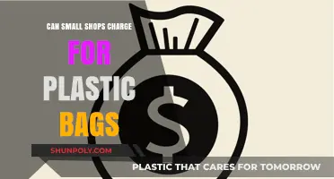 Small Shops: Charging for Plastic Bags, a Smart Move?