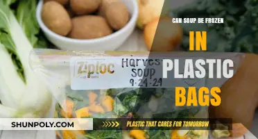 Freezing Soup: Plastic Bags, Safe?