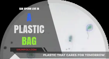 Sperm Survival in Plastic Bags: Is It Possible?