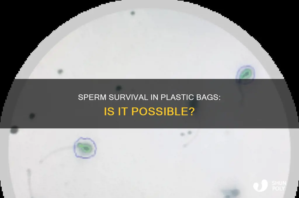 can sperm live in a plastic bag