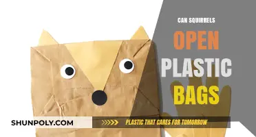 How Squirrels Outsmart Plastic Bags
