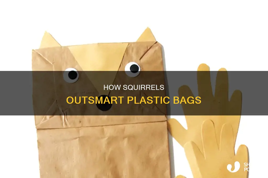 can squirrels open plastic bags