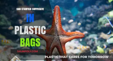 Suffocating Starfish: Plastic Bags' Deadly Threat