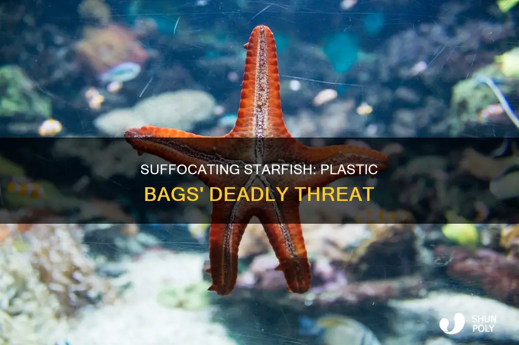 can starfish suffocate in plastic bags